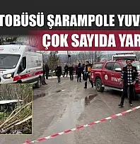 Yolcu otobüsü şarampole yuvarlandı, çok sayıda yaralı var