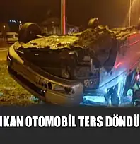 Yoldan çıkan otomobil ters döndü 1 yaralı