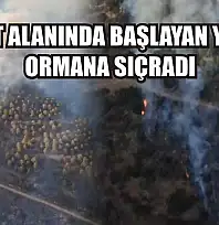 Ziraat alanında başlayan yangın ormana sıçradı