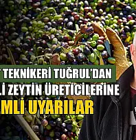 Ziraat Teknikeri Tuğrul'dan, Fethiyeli zeytin üreticilerine önemli uyarılar