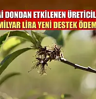 Zirai dondan etkilenen üreticilere 1,7 milyar lira yeni destek ödemesi
