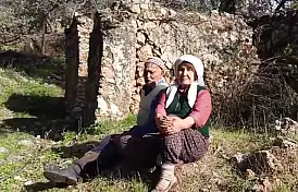 Tarlalarını eşekle sürüyorlar