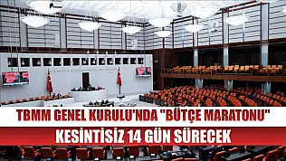 TBMM Genel Kurulu'nda 'bütçe maratonu' kesintisiz 14 gün sürecek