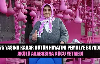 75 yaşına kadar bütün hayatını pembeye boyadı, akülü arabasına gücü yetmedi