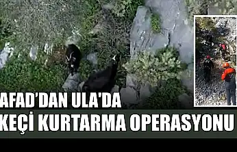 AFAD'dan Ula'da keçi kurtarma operasyonu