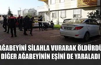 Ağabeyini silahla vurarak öldürdü, diğer ağabeyinin eşini de yaraladı