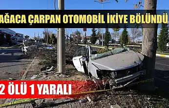 Ağaca çarpan otomobil ikiye bölündü: 2 ölü 1 yaralı