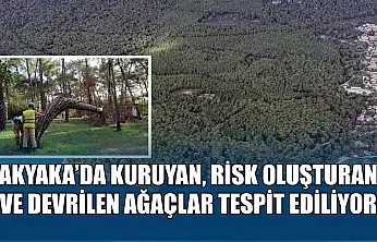 Akyaka'da kuruyan, risk oluşturan ve devrilen ağaçlar tespit ediliyor