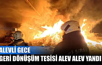 Alevli gece: Geri dönüşüm tesisi alev alev yandı