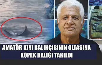 Amatör kıyı balıkçısının oltasına köpek balığı takıldı