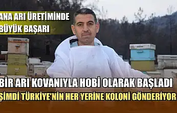 Ana arı üretiminde büyük başarı: Bir arı kovanıyla hobi olarak başladı, şimdi Türkiye'nin her yerine koloni gönderiyor