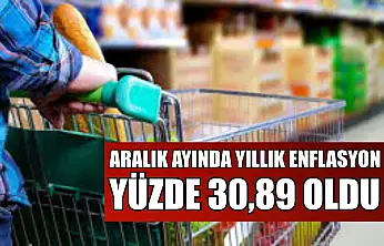Aralık ayında yıllık enflasyon yüzde 30,89 oldu