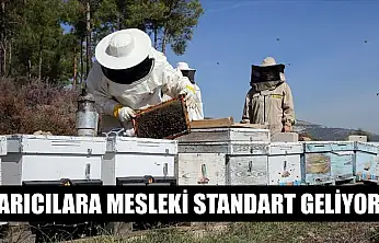 Arıcılara mesleki standart geliyor