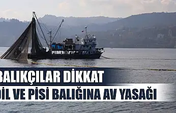 Balıkçılar Dikkat: Dil ve Pisi Balığına Av Yasağı