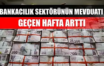 Bankacılık sektörünün mevduatı geçen hafta arttı