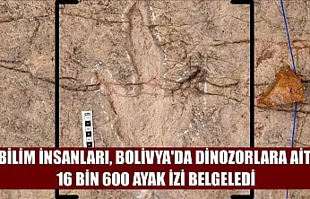 Bilim insanları, Bolivya'da dinozorlara ait 16 bin 600 ayak izi belgeledi