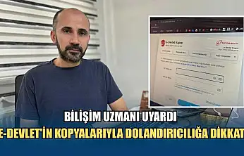 Bilişim uzmanı uyardı: E-Devlet'in kopyalarıyla dolandırıcılığa dikkat