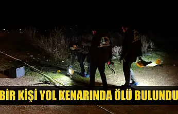 Bir kişi yol kenarında ölü bulundu