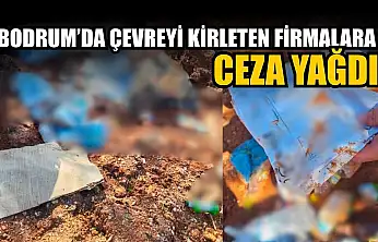 Bodrum'da çevreyi kirleten firmalara ceza yağdı