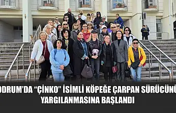 Bodrum'da 'Çinko' isimli köpeğe çarpan sürücünün yargılanmasına başlandı