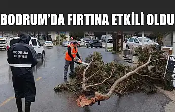 Bodrum'da fırtına etkili oldu