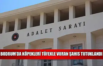 Bodrum'da köpekleri tüfekle vuran şahıs tutuklandı