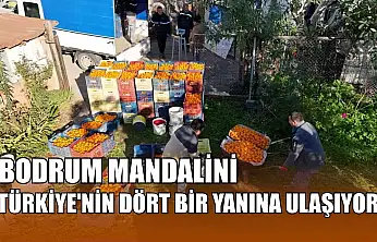Bodrum Mandalini Türkiye'nin dört bir yanına ulaşıyor