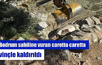 Bodrum sahiline vuran caretta caretta vinçle kaldırıldı