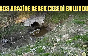 Boş arazide bebek cesedi bulundu