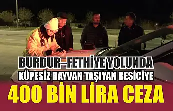 Burdur–Fethiye Yolunda Küpesiz Hayvan Taşıyan Besiciye 400 Bin Lira Ceza