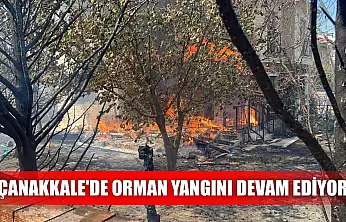 Çanakkale'de orman yangını devam ediyor