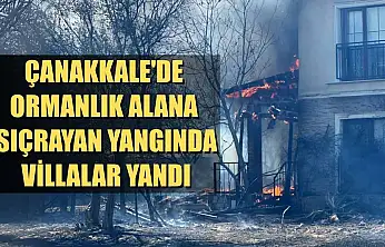 Çanakkale'de ormanlık alana sıçrayan yangında villalar yandı