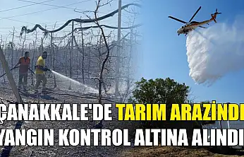 Çanakkale'de tarım arazinde yangın kontrol altına alındı