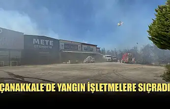 Çanakkale'de yangın işletmelere sıçradı