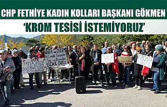 CHP Fethiye Kadın Kolları Başkanı Gökmen: 'Krom tesisi istemiyoruz'