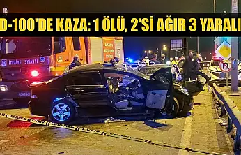 D-100'de kaza: 1 ölü, 2'si ağır 3 yaralı