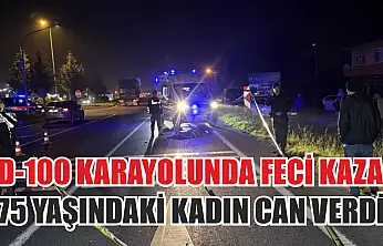 D-100 Karayolu'nda Feci Kaza: 75 Yaşındaki Kadın Can Verdi