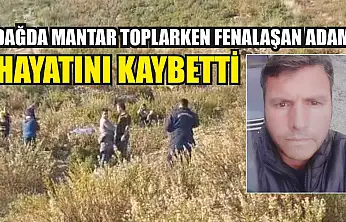 Dağda mantar toplarken fenalaşan adam hayatını kaybetti