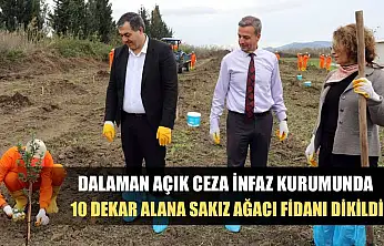 Dalaman Açık Ceza İnfaz Kurumunda 10 dekar alana Sakız ağacı fidanı dikildi