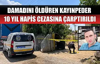 Damadını öldüren kayınpeder 10 yıl hapis cezasına çarptırıldı