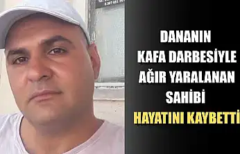 Dananın kafa darbesiyle ağır yaralanan sahibi hayatını kaybetti