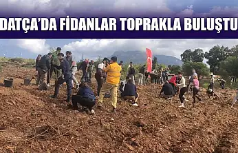 Datça'da fidanlar toprakla buluştu