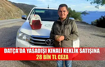 Datça'da Yasadışı Kınalı Keklik satışına 28 bin TL ceza