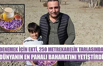 Denemek için ekti, 250 metrekarelik tarlasında dünyanın en pahalı baharatını yetiştirdi