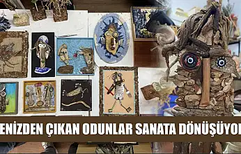 Denizden çıkan odunlar sanata dönüşüyor