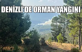 Denizli'de orman yangını