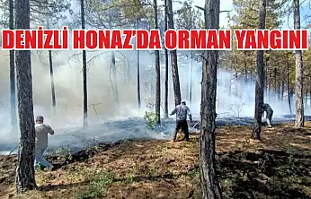 Denizli Honaz'da orman yangını