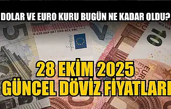 Dolar ve Euro kuru bugün ne kadar oldu?  28 Ekim 2025 güncel döviz fiyatları