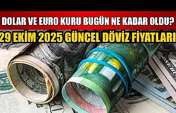 Dolar ve Euro kuru bugün ne kadar oldu?  29 Ekim 2025 güncel döviz fiyatları