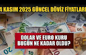 Dolar ve Euro kuru bugün ne kadar oldu?  4 Kasım 2025 güncel döviz fiyatları